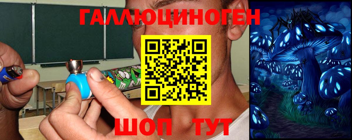 где купить   Вход с VPN  Видное  Псилоцибиновые грибы прущие грибы 